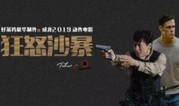 在线观看狂怒沙暴,沙漠风暴中的复仇传奇